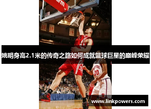 姚明身高2.1米的传奇之路如何成就篮球巨星的巅峰荣耀