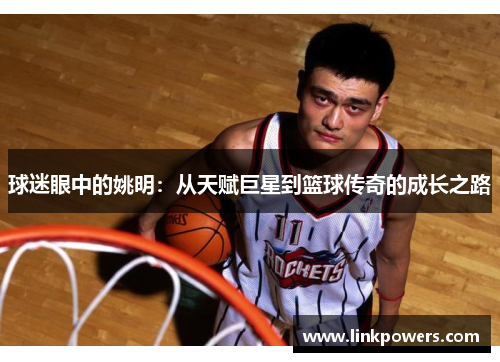 球迷眼中的姚明：从天赋巨星到篮球传奇的成长之路