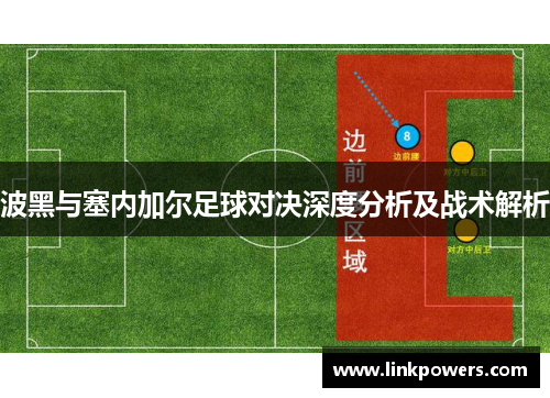 波黑与塞内加尔足球对决深度分析及战术解析